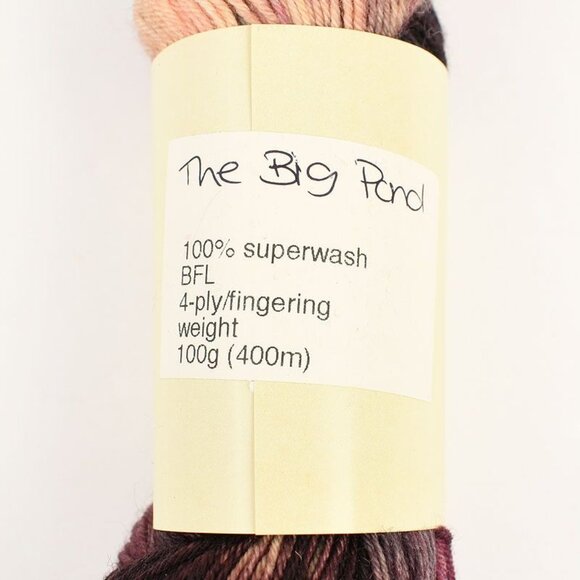 Fruitful Fusion Superwash BFL 4-Ply Fingering Weight Yarn 100g 400m The Big Pond - Picture 3 of 3
